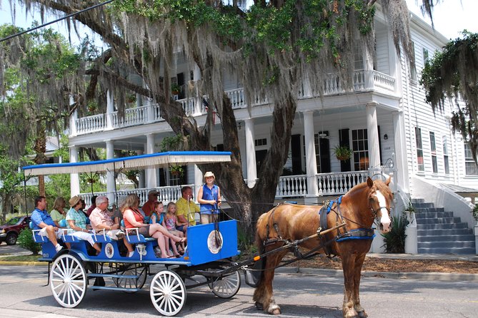 #1 Historical Horse Drawn Carriage Tour - Key Points Before You Book