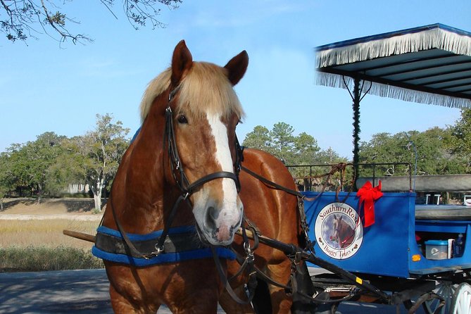 #1 Historical Horse Drawn Carriage Tour - Is 55 Minutes Enough for Beaufort?