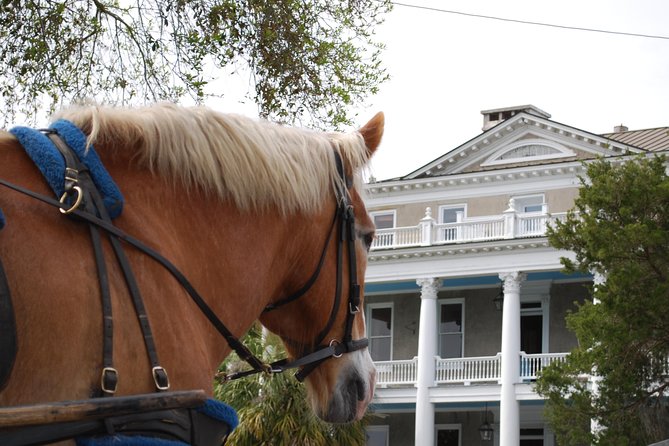 #1 Historical Horse Drawn Carriage Tour - Churches, Graves, and Beaufort’s Earliest Chapters