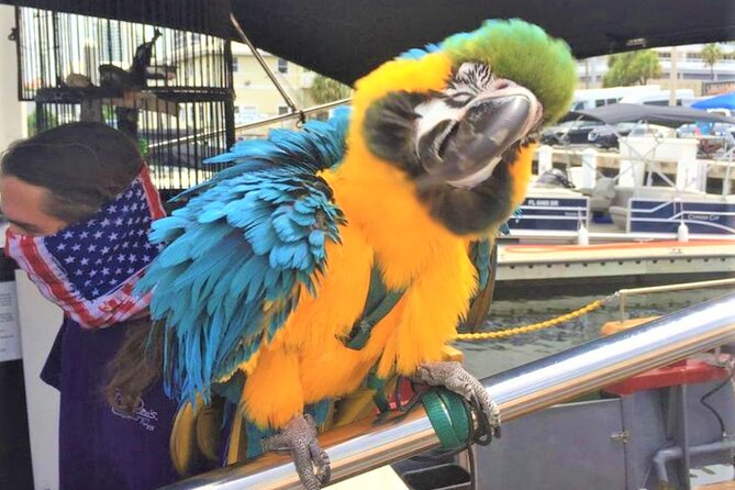 1-Hour Interactive Pirate Cruise (arrive 30 minutes early) - Quick Points Before You Book
