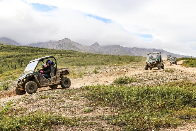 2.5-Hour Denali Wilderness ATV Adventure Tour - Pickup, meeting point, and the first 20 minutes