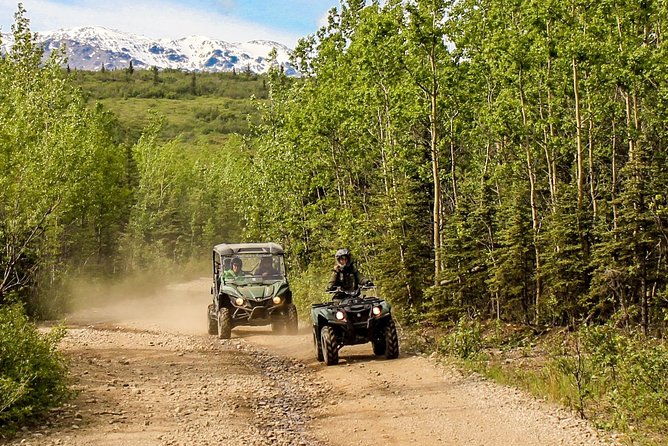 2.5-Hour Denali Wilderness ATV Adventure Tour - Guide quality and the safety approach