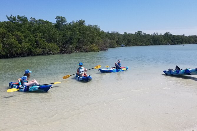 2.5-Hour Guided Group Kayak Tour on Big Hickory Pass - Who will enjoy this most?