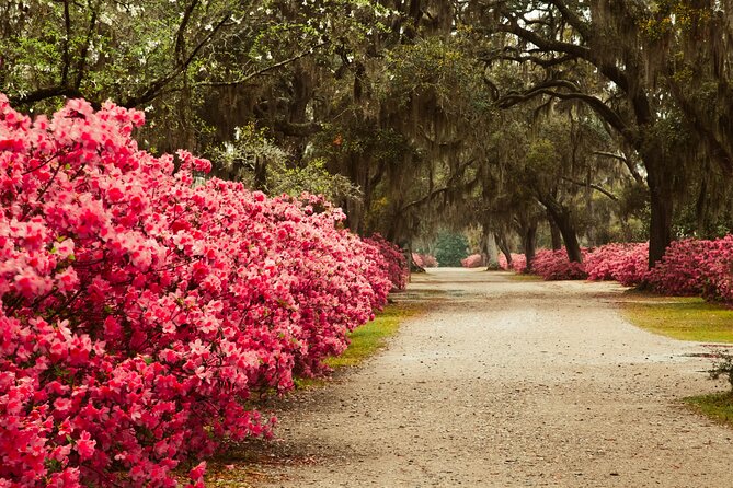 2-Hour Bonaventure Cemetery Walking Tour - The stories behind the stones