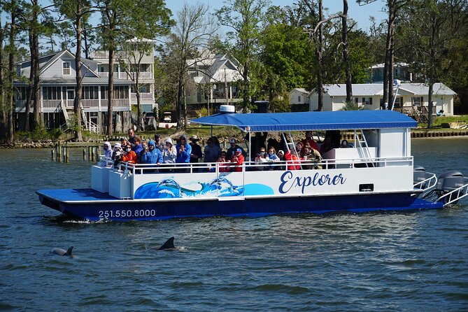 2-Hour Dolphin and Nature Eco Tour from Orange Beach - Key reasons to consider this Orange Beach cruise