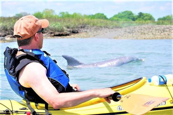 2-Hour Guided Kayak Eco Tour in Charleston - Key things to know before you paddle
