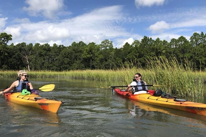 2-Hour Guided Kayak Eco Tour in Charleston - Why Charleston’s tidal marsh is worth your morning