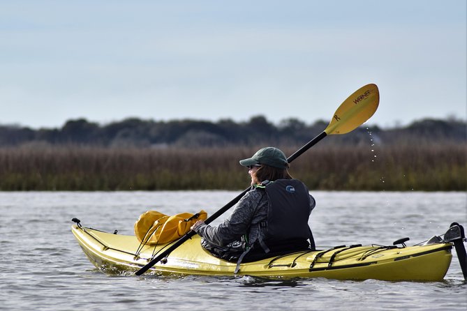 2-Hour Guided Kayak Eco Tour in Charleston - The two-hour route through creeks and salt marsh
