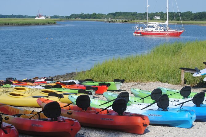 2-Hour Guided Kayak Eco Tour in Charleston - Wildlife watching in the Lowcountry