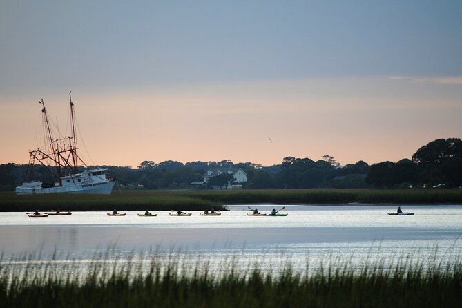 2-Hour Guided Kayak Eco Tour in Charleston - Guide quality and group size