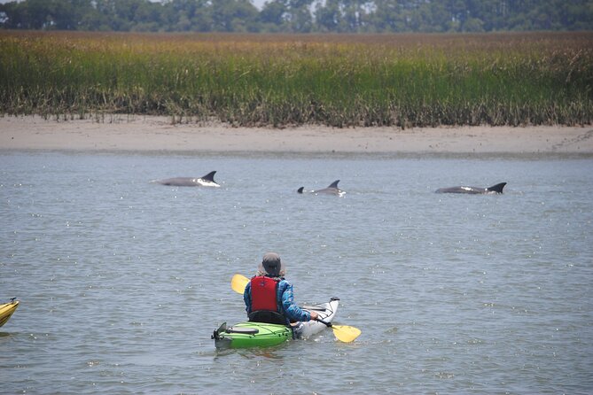 2-Hour Guided Kayak Eco Tour in Charleston - Weather, tides, and the reality of an outdoor tour