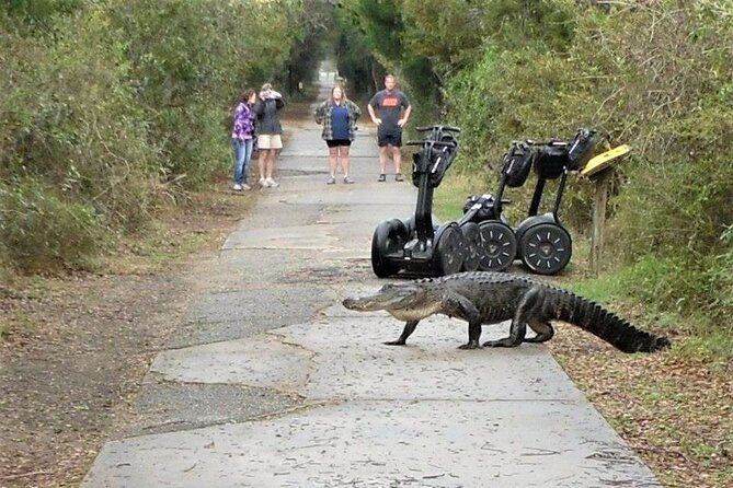 2-Hour Guided Segway Tour of Huntington Beach State Park in Myrtle Beach - Along the Freshwater Lake and Wildlife Areas