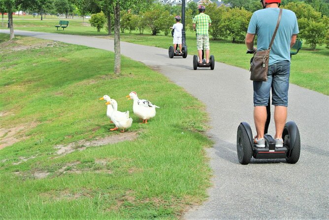 2-Hour Guided Segway Tour of Huntington Beach State Park in Myrtle Beach - The Practical Downsides