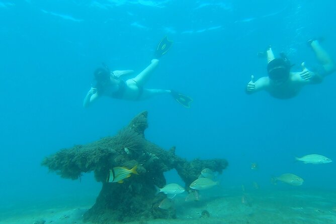 2 ½ - Hour Guided Snorkel Tour of Phil Foster park, Free Videos! - Why Phil Foster Park makes a strong snorkel stop