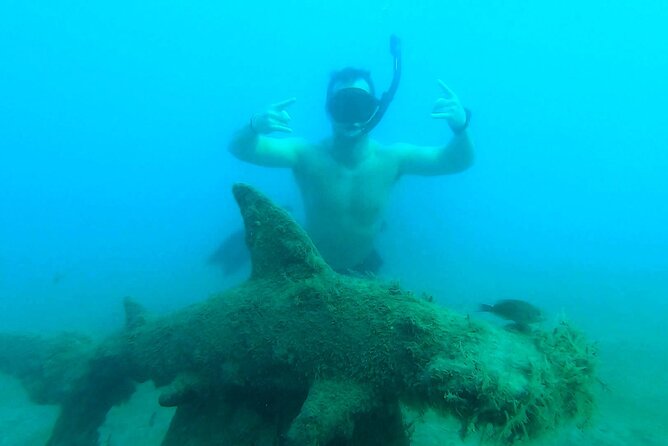 2 ½ - Hour Guided Snorkel Tour of Phil Foster park, Free Videos! - What the free videos really include
