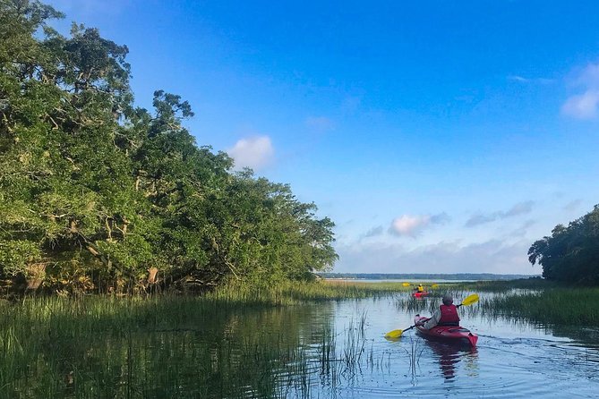 2-Hour Hilton Head Guided Kayak Nature Tour - Reading the salt marsh with a naturalist guide