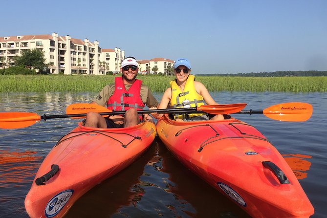 2-Hour Hilton Head Guided Kayak Nature Tour - Wildlife sightings on Broad Creek