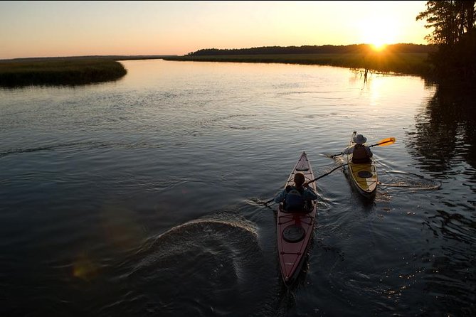 2-Hour Hilton Head Guided Kayak Nature Tour - Choosing morning, afternoon, or sunset