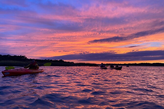 2-Hour Hilton Head Guided Kayak Nature Tour - How hard is the paddling?