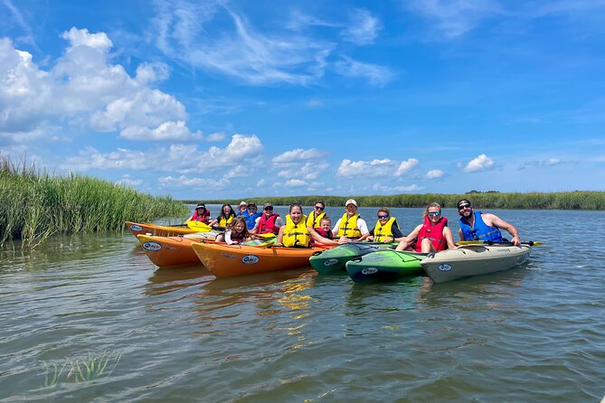 2-Hour Hilton Head Guided Kayak Nature Tour - Is it good for families and beginners?