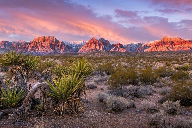 2-Hour Horseback Riding through Red Rock Canyon - Key points to know before you book