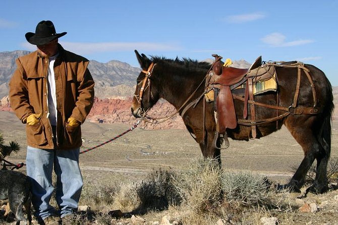 2-Hour Horseback Riding through Red Rock Canyon - The small drawbacks to keep in mind