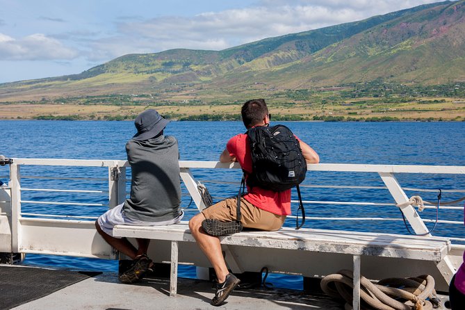 2-Hour Oahu Whale Watch from Ala Wai Harbor, Waikiki - Watching humpbacks from December through May