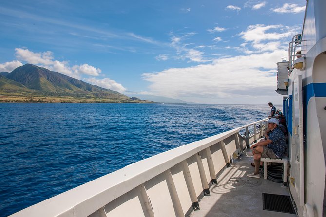 2-Hour Oahu Whale Watch from Ala Wai Harbor, Waikiki - What you may see besides whales