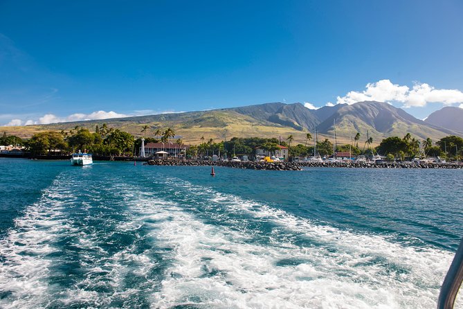 2-Hour Oahu Whale Watch from Ala Wai Harbor, Waikiki - The Waikiki and Diamond Head views