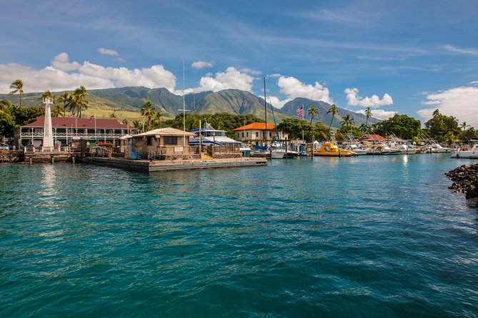 2-Hour Oahu Whale Watch from Ala Wai Harbor, Waikiki - From Ala Wai Harbor to the open Pacific