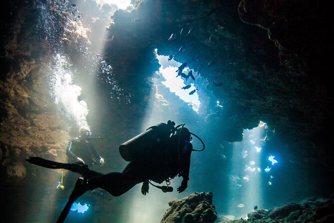 2 Tank Lanai Cathedral Scuba Dive Via Boat for Certified Divers - Key points about the Lanai Cathedral scuba trip