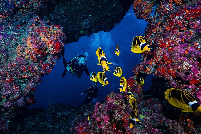 2 Tank Lanai Cathedral Scuba Dive Via Boat for Certified Divers - The boat crossing, Maui views, and whale stops