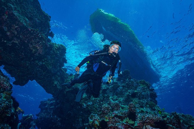 2 Tank Lanai Cathedral Scuba Dive Via Boat for Certified Divers - The Cathedrals, caves, light, and swim-throughs