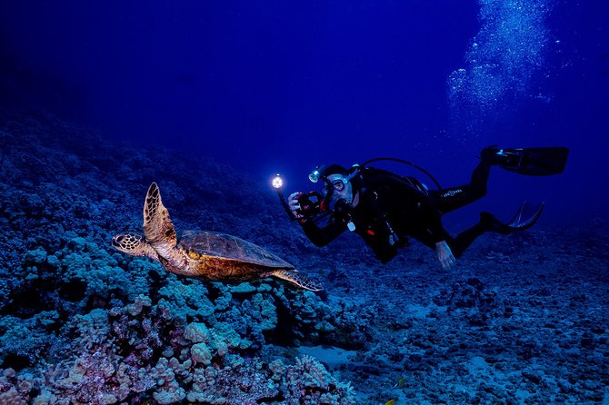 2 Tank Lanai Cathedral Scuba Dive Via Boat for Certified Divers - The surface interval and second hour underwater