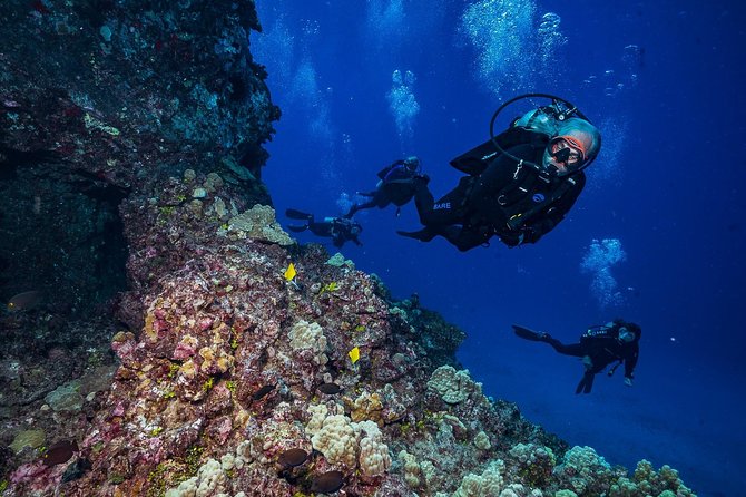 2 Tank Lanai Cathedral Scuba Dive Via Boat for Certified Divers - The return to Lahaina and the value of the day