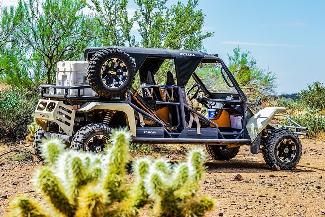 3 Hour Guided TomCar ATV Experience in Sonoran Desert - Stops for Sonoran Desert plants, animals, and history
