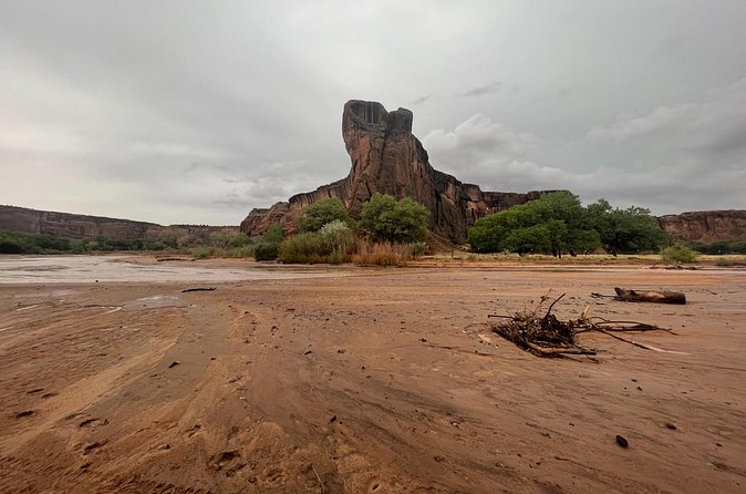 3-hour Private Tour - Three hours, with enough time for photos