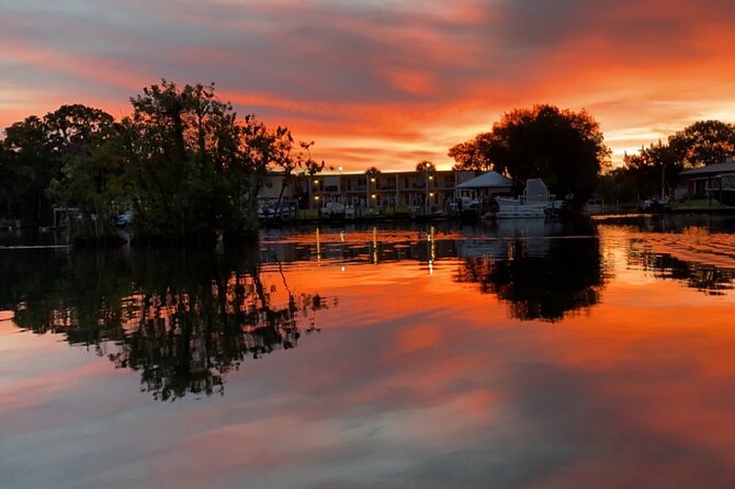 3 Hour Small Group All Inclusive Manatee Swim with free Photo pkg - What the $99 price really covers