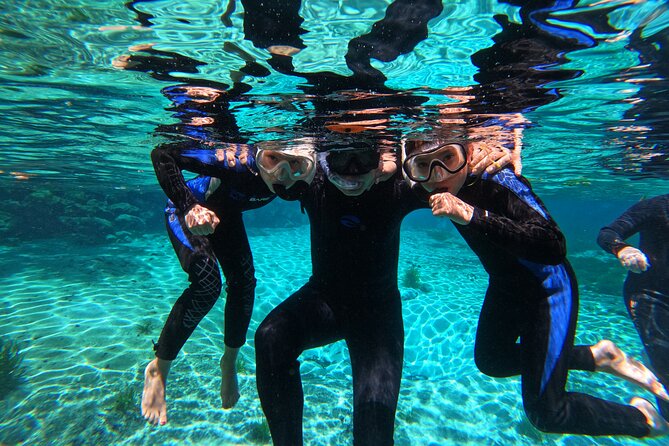 3 hours Manatee Swim Tour in Florida - Guides, captains, and animal care