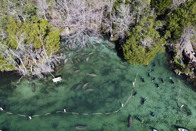 3 hours Manatee Swim Tour in Florida - What the $74.99 price includes