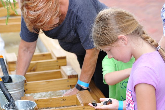 30-Minute Airboat Ride, Lunch, Gem Mining and Park Admission - The Native American Village and living history