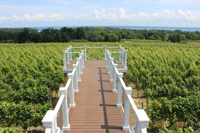 5-Hour Traverse City Wine Tour: 4 Wineries on Old Mission Peninsula - Bonobo Winery: a final stop with plenty of snack options