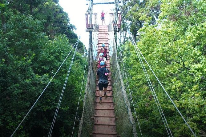 6 Dual-Zipline Mountain Adventure in Maui - Practical plan for a better day