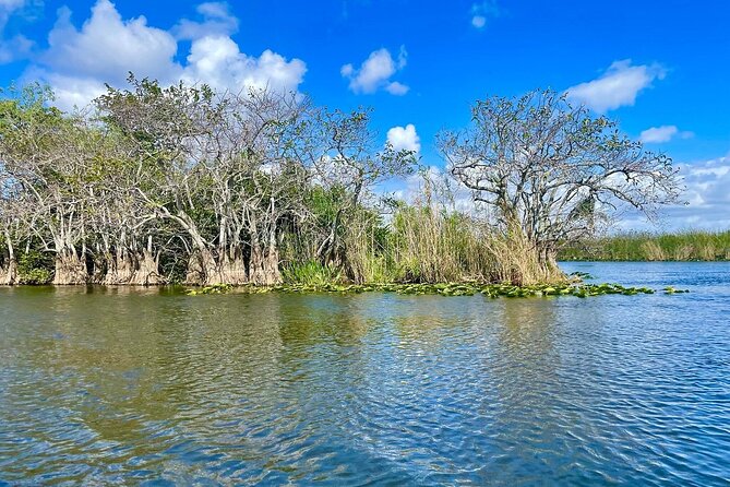 60 min. Everglades Airboat ride & pick-up ,small group +pro guide - Who should book this Everglades trip?