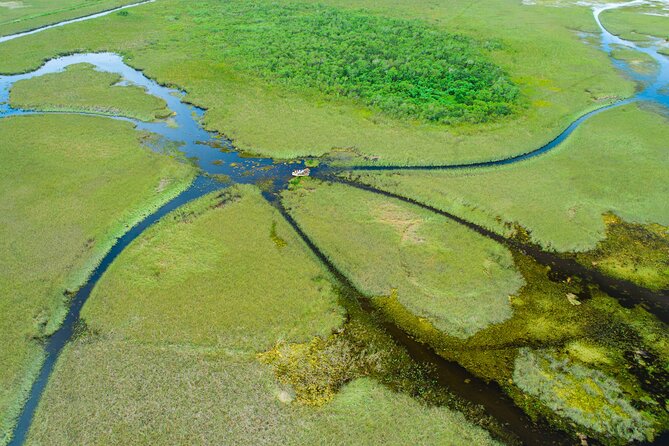 60 min. Everglades Airboat ride & pick-up ,small group +pro guide - The 60-minute airboat ride