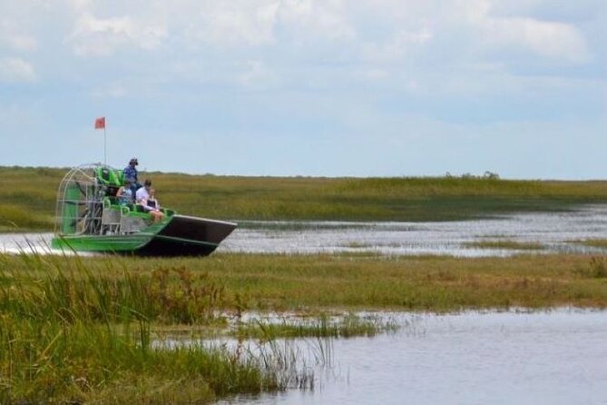 60 Minutes Small Group Everglades Airboat Ride in Miami - Hunting for alligators in the back river