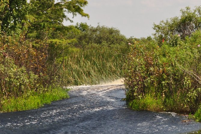 90 minute Everglades Airboat Tour near Orlando Florida - Boarding a smaller airboat