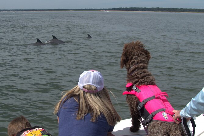90-Minute Private Dolphin Tour in Hilton Head Island - Cooper River and Daufuskie Island