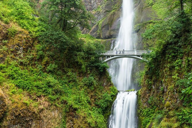 Afternoon Half-Day Multnomah Falls and Columbia River Gorge Waterfalls Tour from Portland - The quick facts that matter most