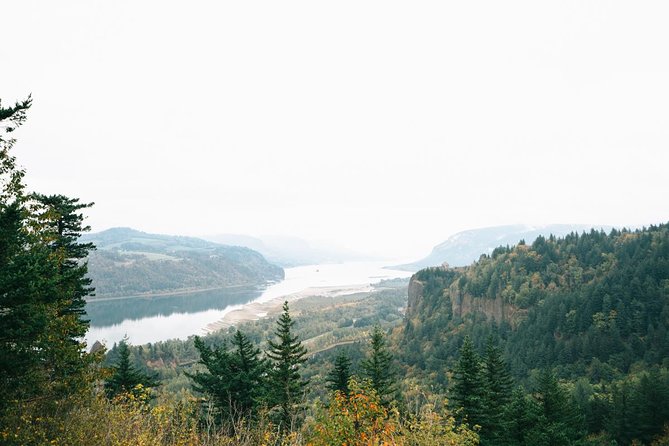 Afternoon Half-Day Multnomah Falls and Columbia River Gorge Waterfalls Tour from Portland - Why the Columbia River Gorge feels different